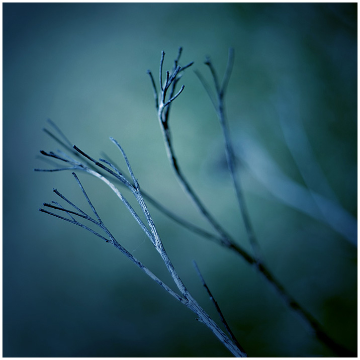 cold hands