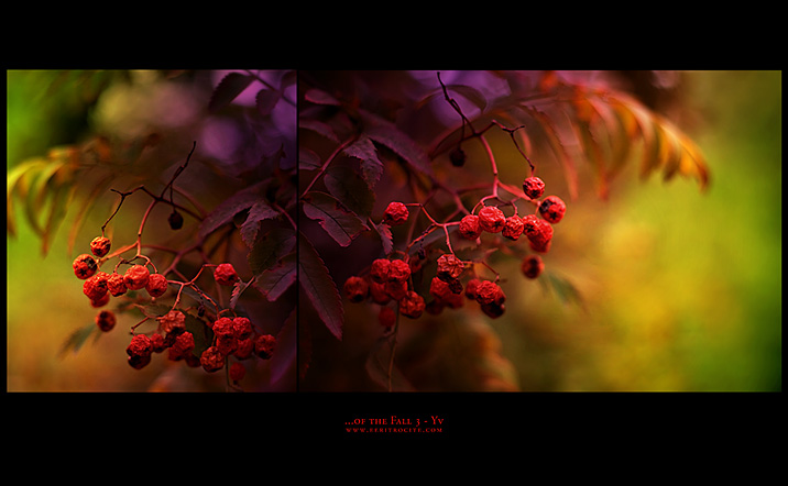 ...of the fall 3