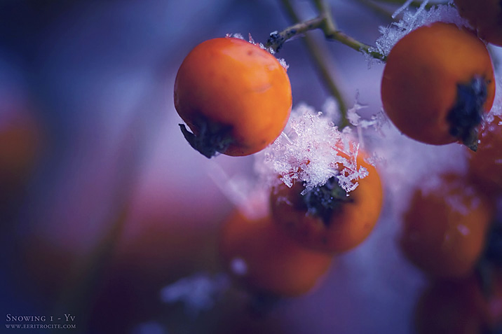 snowing 1
